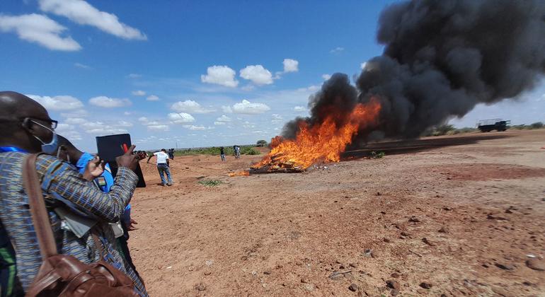 Algeria: authorities dismantle major drug trafficking network