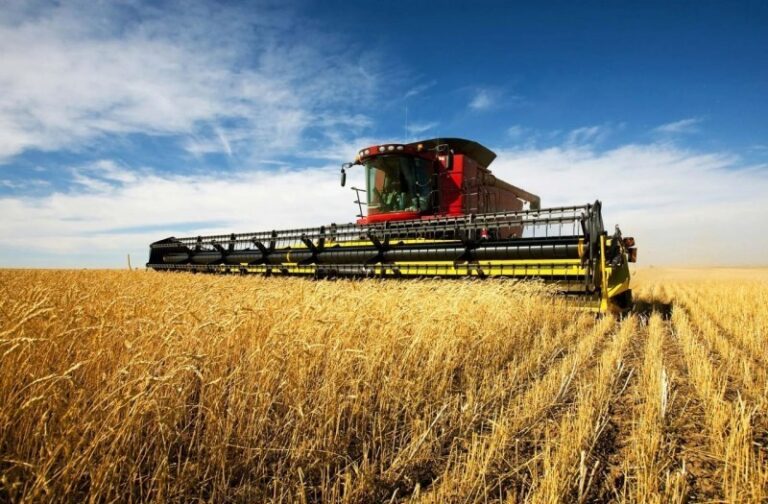 Morocco wheat market sees Russia aiming to boost grain exports
