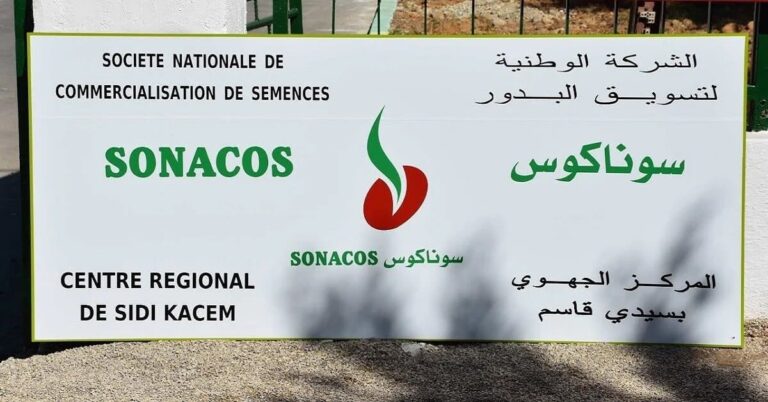 Senegal: Fourteen measures launched to save SONACOS
