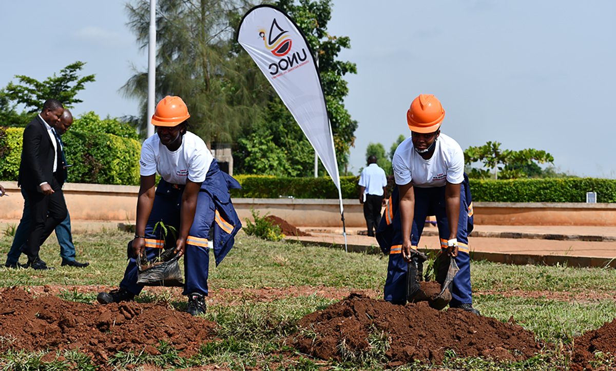 Ivory Coast Belife Insurance launches ambitious tree-planting initiative