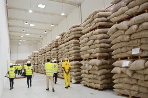 Cameroon Chocolat Rouge plant set to transform local cocoa industry
