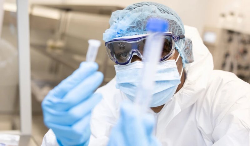 Senegal reports four deaths amid Rift Valley fever outbreak