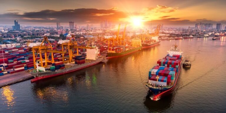 Egypt food exports to Turkey surge 64% in first half of 2025