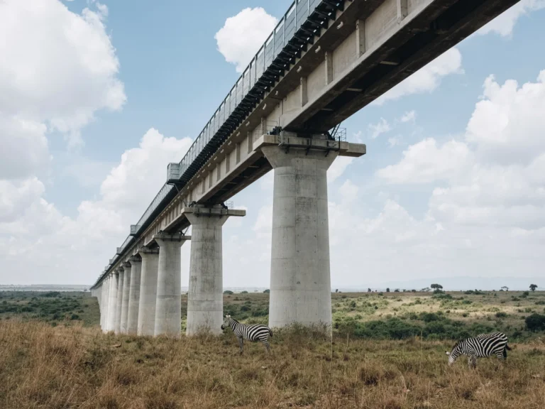Kenya struggles with Nairobi’s under-bridge havens as residents call for action