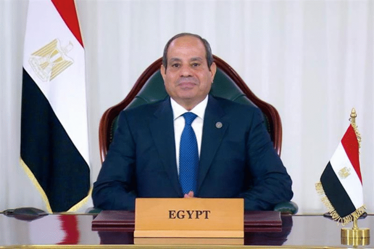 Egypt: Criminal procedure law sent back to parliament for revision