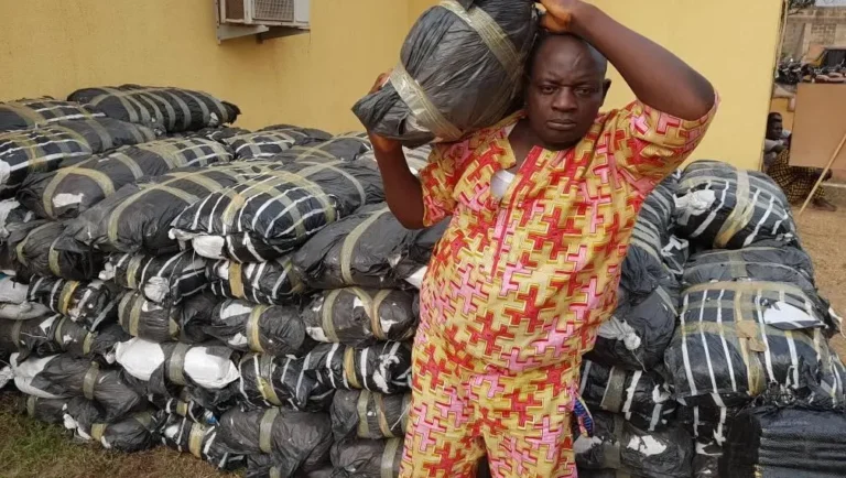 Benin police seize 22kg of Indian hemp, arrest two in Bohicon drug bust