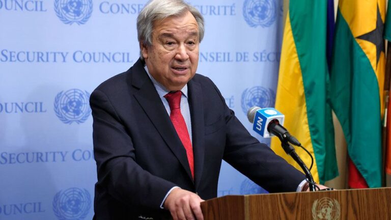 Namibia urges UN to grant Africa permanent Security Council seat