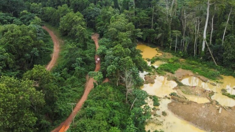 Guinea cyanide spill in Mandiana kills livestock and contaminates rivers