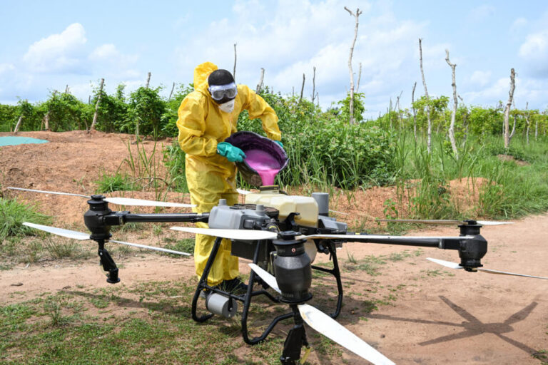 Ivory Coast showcases CNRA’s 2024 agricultural innovations in Man