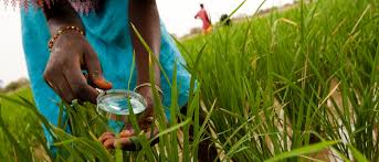 Benin: 25 hectares offered for logistics warehouses to boost agri-food sector