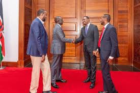 Kenya DCP candidate withdraws from by-election after State House visit