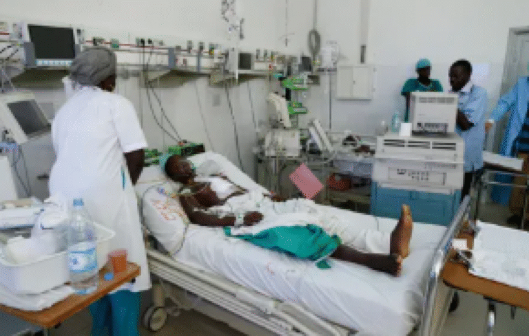 Senegal battles deadly surge of Rift Valley fever in Saint-Louis