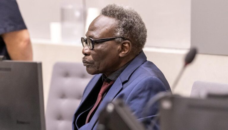 Sudan: Janjaweed leader Ali Kushayb convicted of war crimes and crimes against humanity