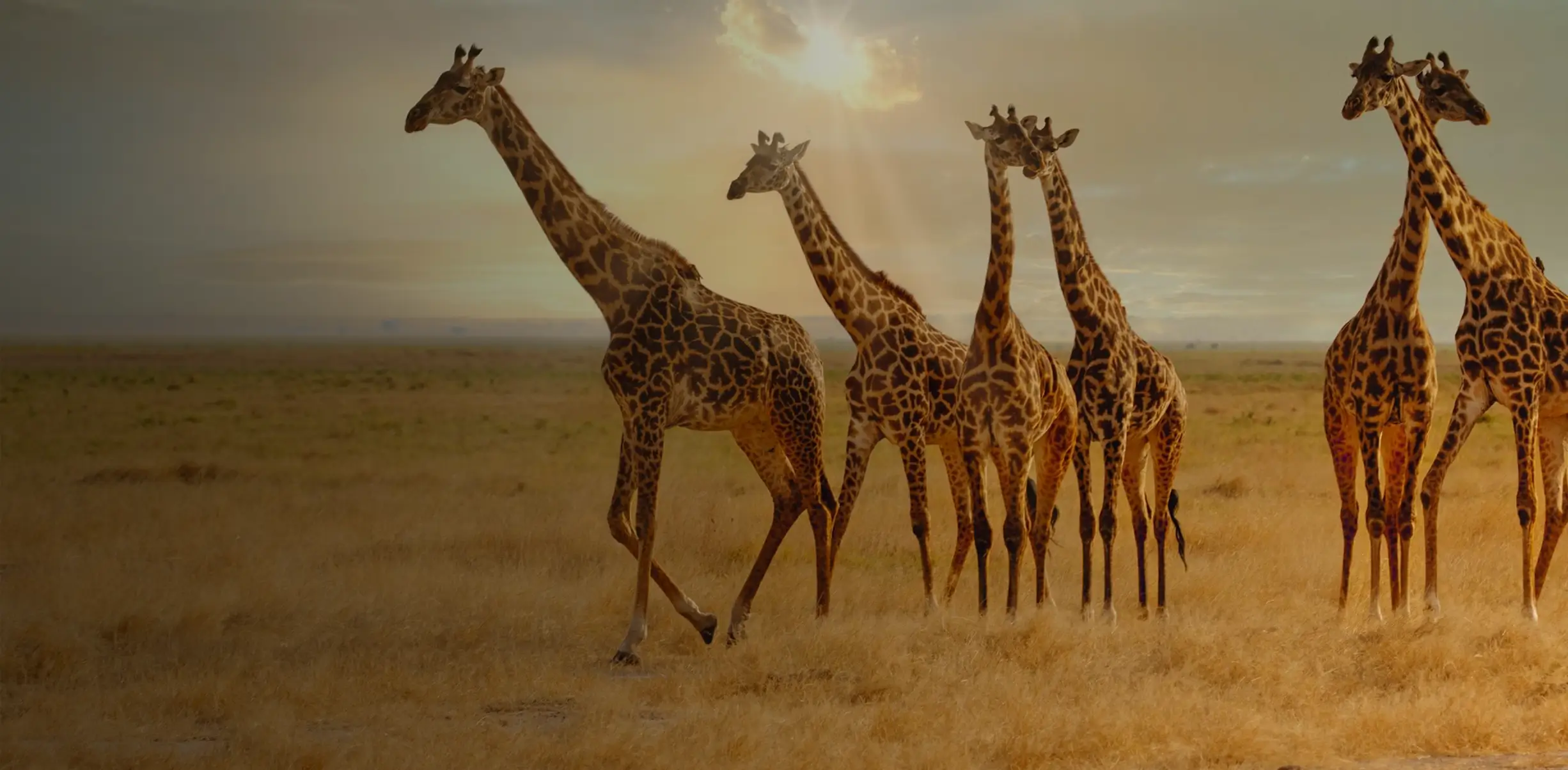 Chad strengthens global ties as World Bank backs 'Chad Connection 2030' development strategy