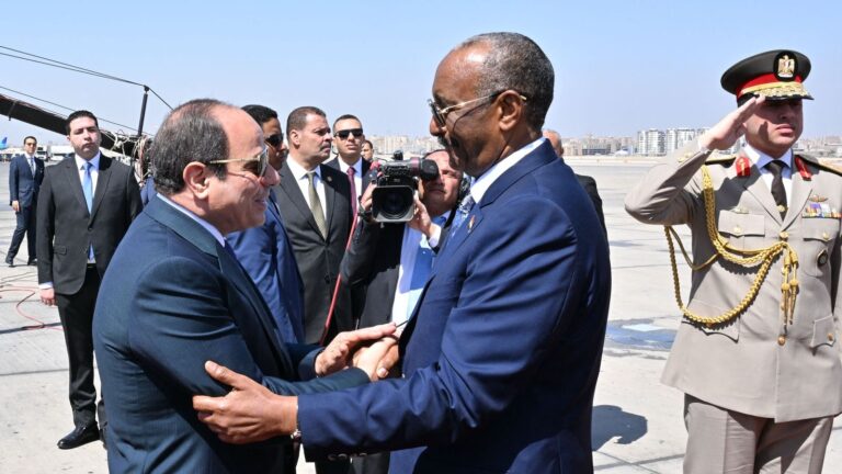 Egypt: Egypt and Sudan unite over GERD water security concerns