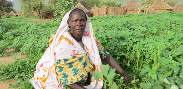 Chad launches campaign to promote smart agriculture and nutrition in Am-Timan