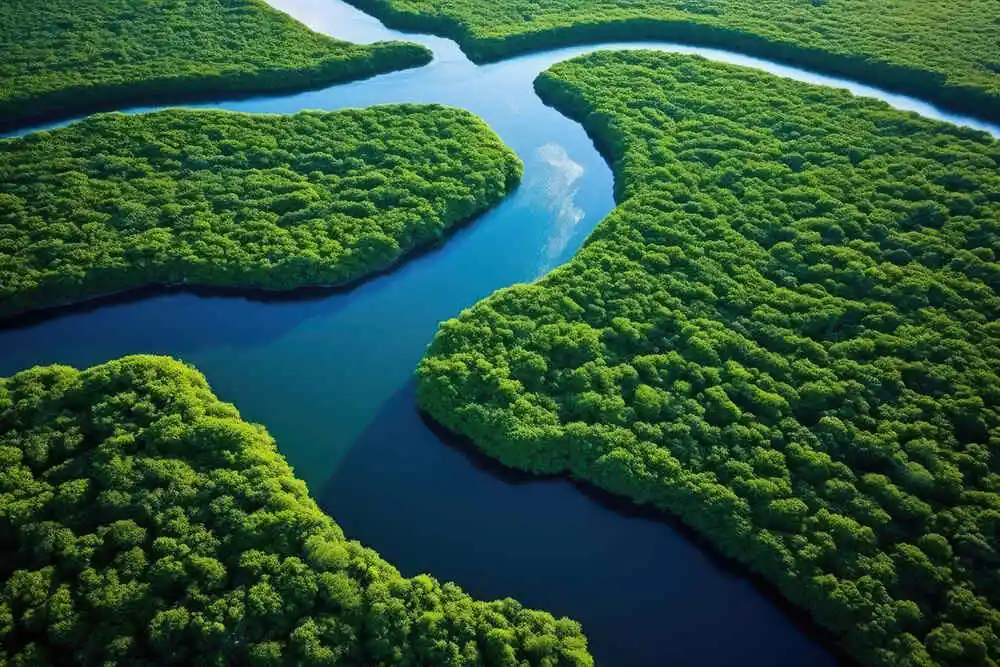 Senegal: authorities urge vigilance as Senegal River water levels rise