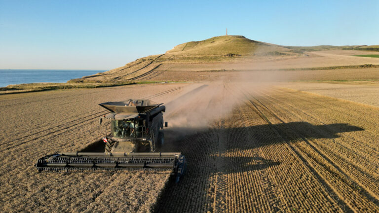 Morocco: France redirects wheat exports after Algerian market closure