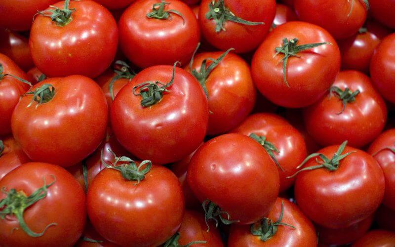 Morocco: Russia blocks Moroccan tomato shipment over plant viruses