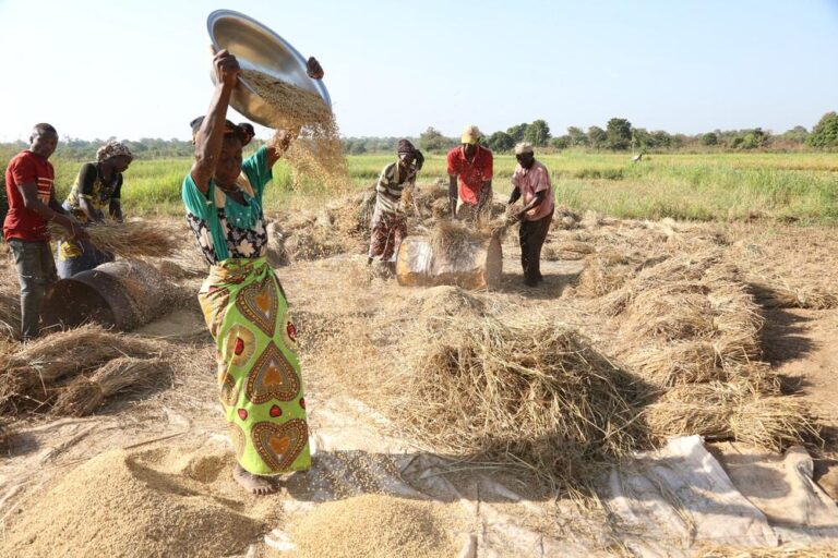 Ivory Coast: Africa urged to place farmers at the centre of development